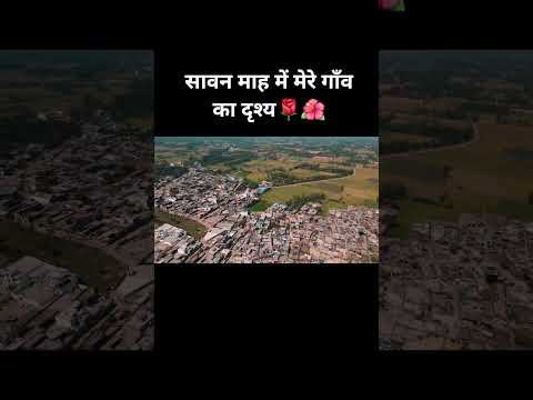 सावन माह में मेरे गाँव का दृश्य 🌺🌹 #reels #meravillage #meraganv #villagelife #viralvideo #savan