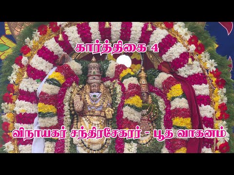 திருக்கார்த்திகை தீபம் 2023/ நான்காம் நாள் திருவிழா /  விநாயகர் சந்திரசேகரர் - பூத வாகனம்/