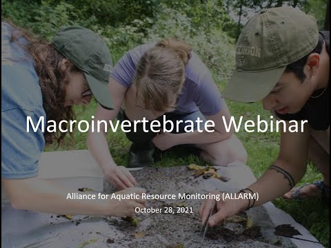 Stream Team Macroinvertebrate Webinar 10/28/2021