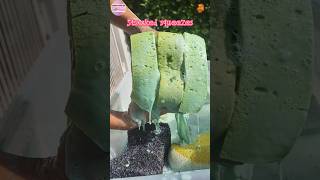 ASMR Stacked sponge squeezes🫧🧽 Watery sounds #sponge #asmrsponge #spongeasmr #spongesqueezing