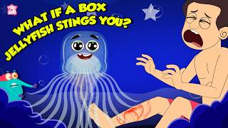 Deadliest Sea Creature | What if a Box Jellyfish Stings You? | How to  Survive | Dr. Binocs Show
