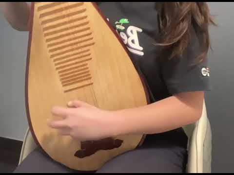 「Avid - Sawano Hiroyuki」pipa cover - 86 Eighty Six ED