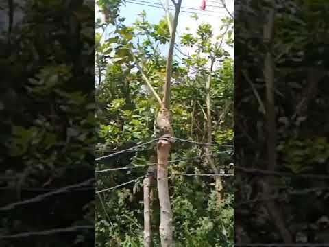 #travelvlog #shorts #travelwithme