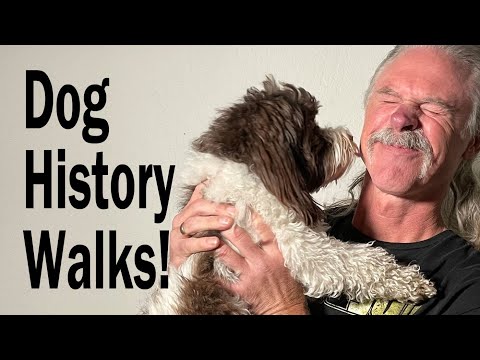 Seven best dog walks in/near Reno, Nevada where the human can learn something too!  With a Havanese!