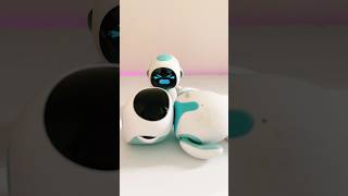 Like and Share to Save Eilik #robot #eiliko