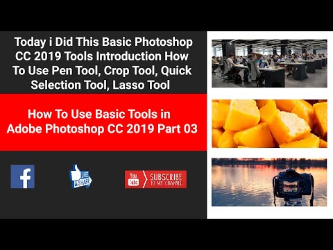 How To Use Basic Tools in  Photoshop  CC 2019Part 003