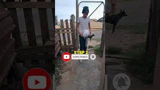 Master Juggling #football #viralshorts
