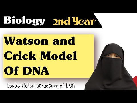 Watson and Crick Model of DNA | Biology |  #watsons #dna #elearningforeveryone