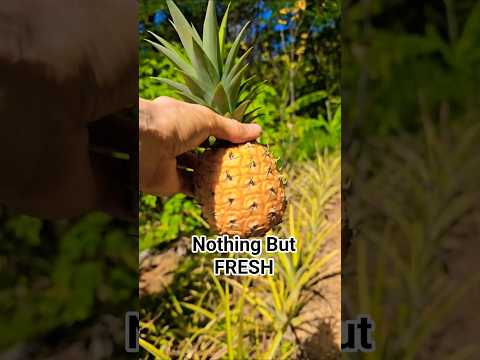 Nothing but FRESH