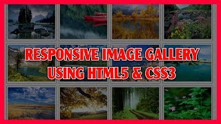 Responsive Image Gallery Using HTML5 & CSS3 | Pure CSS3 Image Gallery