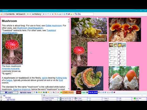 Tiling, fitting, rearranging and trimming pictures (SuperMemo 17)
