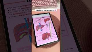 How I take aesthetic notes 💕📱 Samsung galaxy tab | digital note taking | penly android app | study