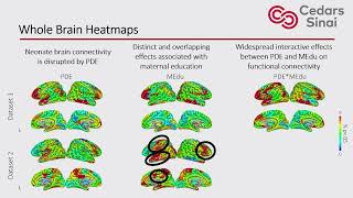 OHBM 2024 | Oral Session | Gabriella Vavala |  Interactive Effects of Prenatal Drug Exposure and S…