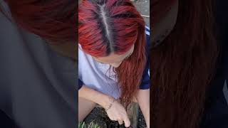 có thôn nữ lm măng chua #girlbuildingbushcraftlife #survival #cooking #palmtree