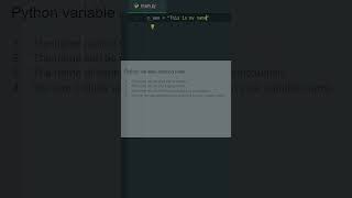 Naming your variables - Python rules