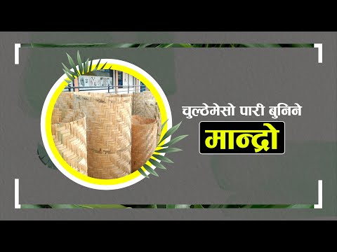 विद्यार्थीले हेर्नैपर्ने मान्द्रोबारे जानकारी ।। Nepal Talks ।। Mandro