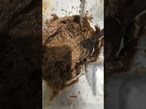 "Turn Banana Peels & Eggs into Liquid Gold! 🌱 Urban Farming Hack for Organic Growth!"