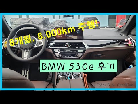BMW 530e, 8개월 타본 차주가 말합니다!