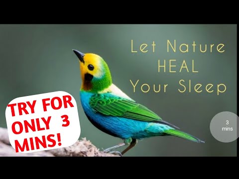 Relaxing sleep music. Sounds of nature. Nature can heal. Sleep in 3 minutes!