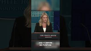 Blaming Trump for deadly Texas floods is 'a depraved lie,' Leavitt says