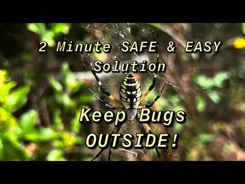 Check out this trick! Kill bugs inside! Fast! Safe! Easy! Cheap! All-natural! Works for cockroaches!