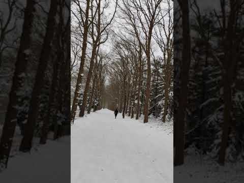 Snow Storm in the Netherlands / # Shorts
