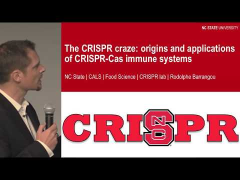 Understanding the CRISPR Craze