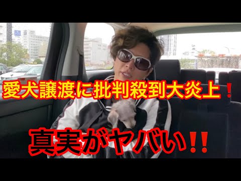 GACKT愛犬譲渡に批判殺到大炎上❗️真実がガチでヤバい　本音　真実　暴露(がくと　ガクト　GACKT 　犬　里子　時事ネタ　トレンド　バズり　炎上　誹謗中傷　猫✖︎ニュース)#383