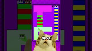 Epic Square Race! #squarerace #usa #memes #funny #satisfying