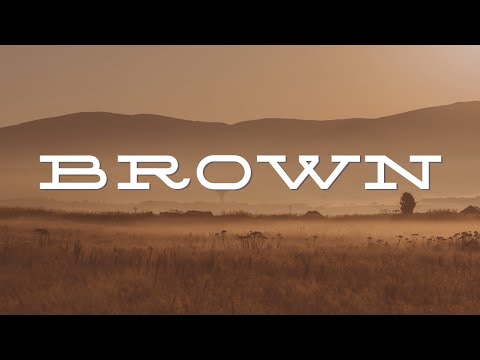 Earthy, Stable, Reliable: Meet Brown! (Color Meaning Video)