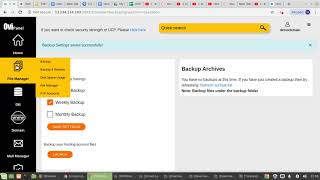 How to Create the automatic backup schedule in OVIPanel?