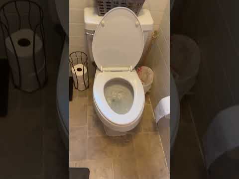 Flushing a toilet with toilet paper
