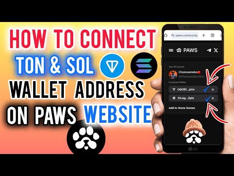 How To Connect Your TON and SOL Wallet on PAWS Website (Full Guide) | PAWS Airdrop Wallet Connection