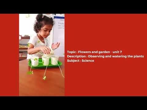Science hands on activitiy