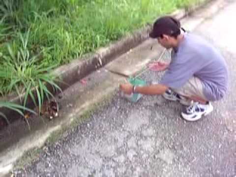 gustavo2