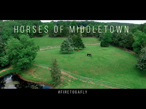 Horses Of Middletown | Fire Toga Films | Drone Footage