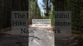 The Most Beautiful Hike in Yellowstone National Park