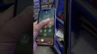 iPhone 11 purple