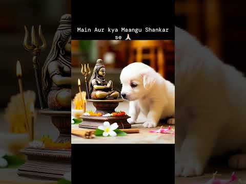 #lordshiva #bhairava #dog #doglife #hindumythology #dogworship