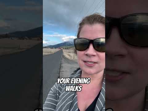 14516 E Belmont Rd., Mica, WA 99023