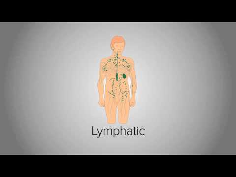 Organ System Overview
