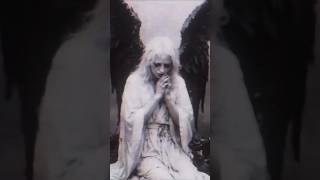#freash #peace #love #aesthetic #darkaesthetic #academia #darkacademiavibes #pinterest #indie #dark
