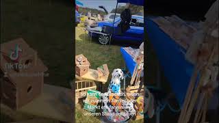 unser Stand beim Vieh-und Bauernmarkt
