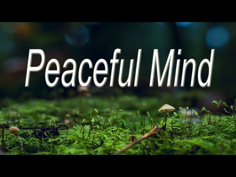 Relaxing Piano Music / Peaceful Mind / Music for Stress relief