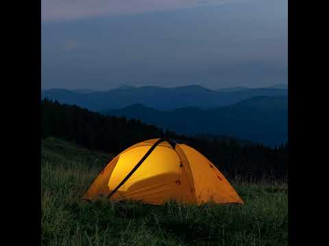 003. The Topological Unified Field Theory  and the End of Linear Time