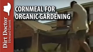 Cornmeal for Organic Gardening - The Dirt Doctor