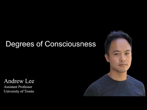 Degrees of Consciousness by Andrew Lee