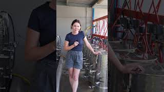 Winequip 2025 Trial Wines - Week 1 Update