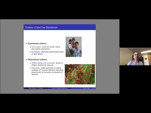 Nancy Rodriguez: A story on relocation strategies, the Allee effect, and the Ideal Free Distribution