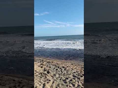 Cavalo Preto praia Quarteira Portugal #shorts #short #shortvideo #shortsvideo #beach